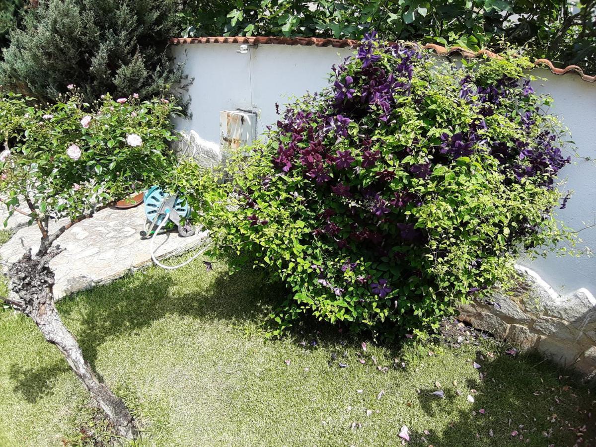 Guest Rooms Deva Burgas Exterior foto